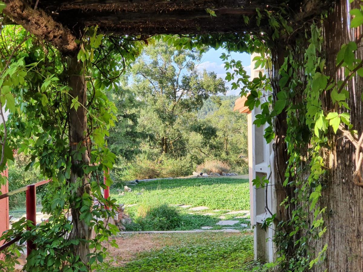Casa Rural El Retiro, Rural Loft Buenache de la Sierra Dış mekan fotoğraf